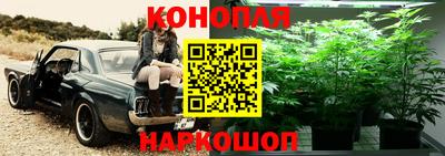 трава Краснодар